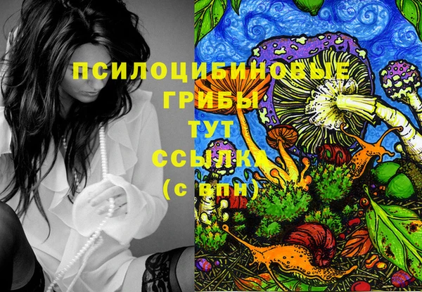 бутират Карталы