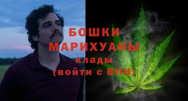 мдпв Касимов