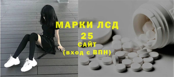 мдпв Касимов