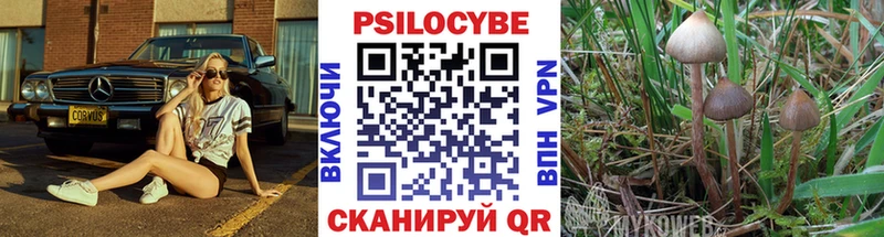 Псилоцибиновые грибы ЛСД  Купить где  Чусовой 